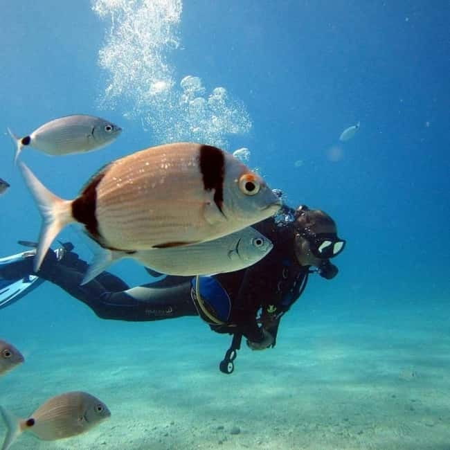 Fethiye: Fly and Dive, Paragliding and Scuba Diving Combined, Transfer Included - Getting Picked Up in Fethiye or Ölüdeniz