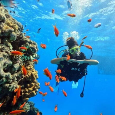 Fly and Dive, Paragliding and Scuba Diving Combined, Transfer Included