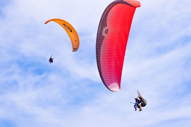 FlyTenerife Paragliding Flight - Key points before you book