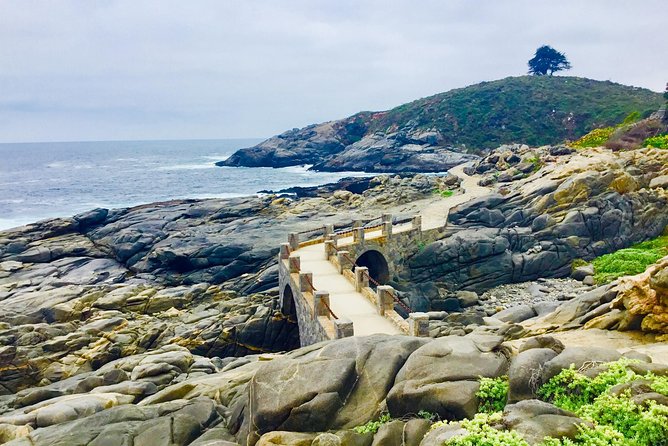 Fr STGO: WILD PENGUINS, SEALION, SANDBOARD, PARAGLIDING & PICNIC - Sea lions at the fishing area