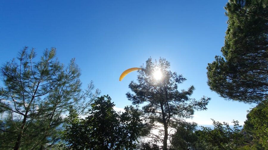 From Antalya/Alanya/Side: Paragliding Adventure - Photos, videos, and the extra cost