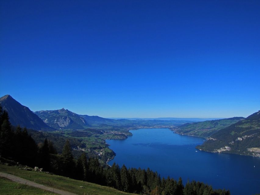 From Geneva: Paragliding and Interlaken Trip - Key points to know before booking