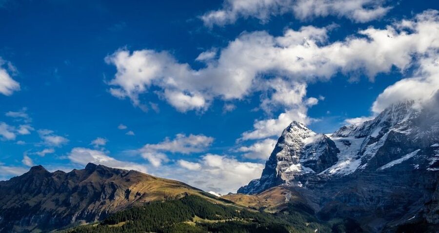 From Geneva: Paragliding and Interlaken Trip - From Geneva to the Bernese Alps by bus