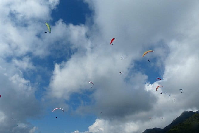Ha Long Sky Tour: Powered Paragliding - Who will enjoy this flight most?