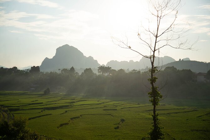 Hanoi Paragliding COMBO: Tandem paraglide + course (full-day) - What the $77 price really gives you