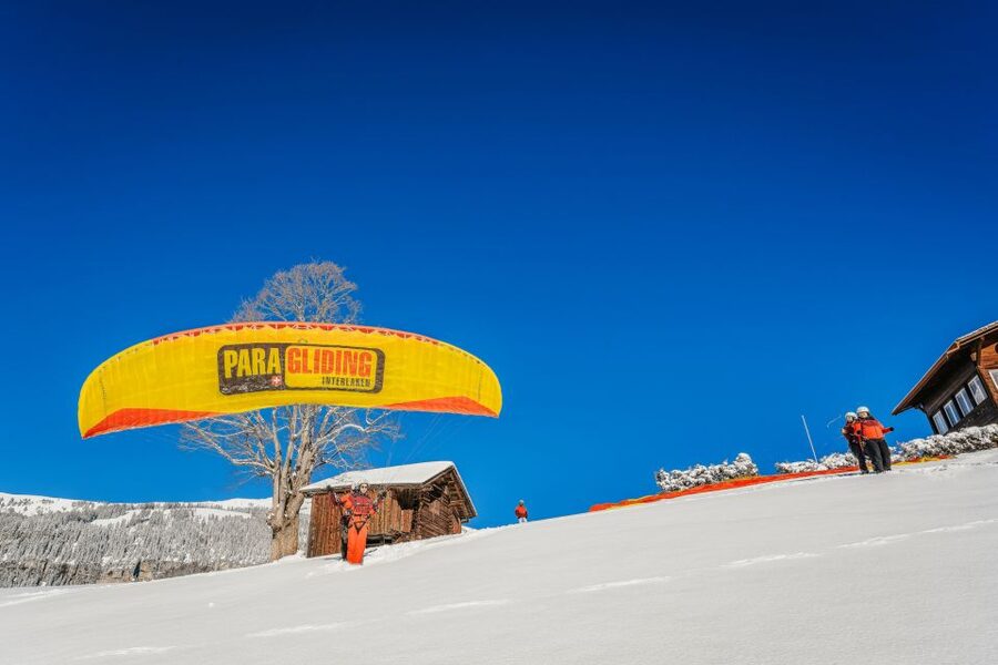 Interlaken: Tandem Paragliding Flight - Safety, group size, and the pilots role