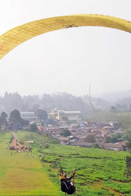 Jakarta: Paragliding on Top Mountain & Tea Plantation - Who should book this experience