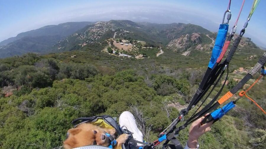 Malibu Hills to Beach: Tandem Paragliding Flight Adventure - Pacific views and a different side of Malibu