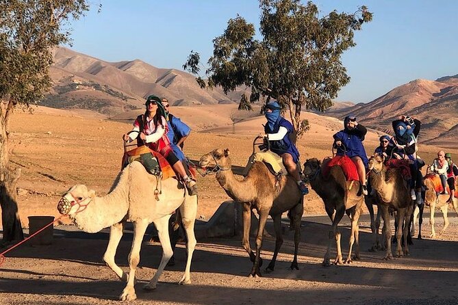Marrakech : Paragliding & Atlas Mountains Trip - Choosing between a gentle flight and stronger thrills