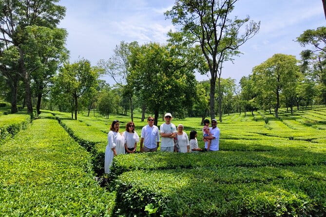 Palampur and Bir Tour, Tea Gardens, Adventures and Paragliding - Bir-Billing: the day’s big thrill