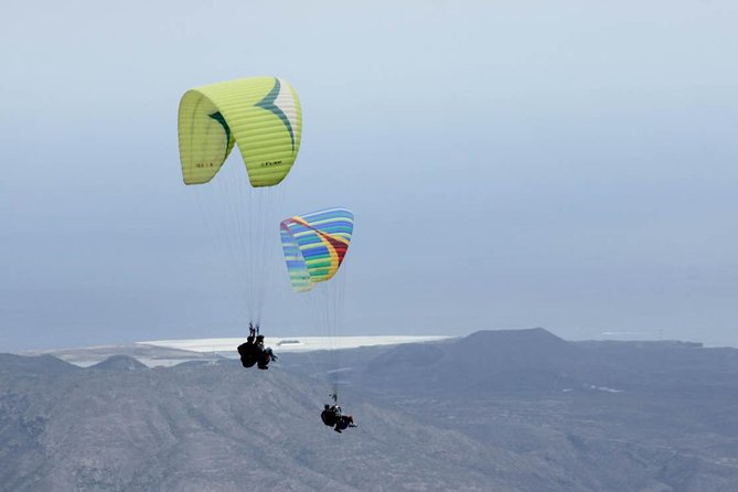 Paragliding Epic Experience in Tenerife with the Spanish Champion Team - Key details before you book