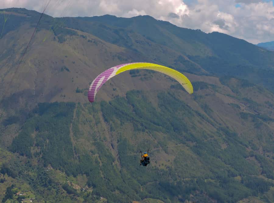 Paragliding Experience - Key Points Before You Book
