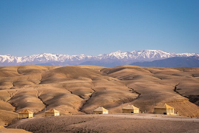 paragliding in Agafay Desert with Camel Ride - What the guide can add to the experience