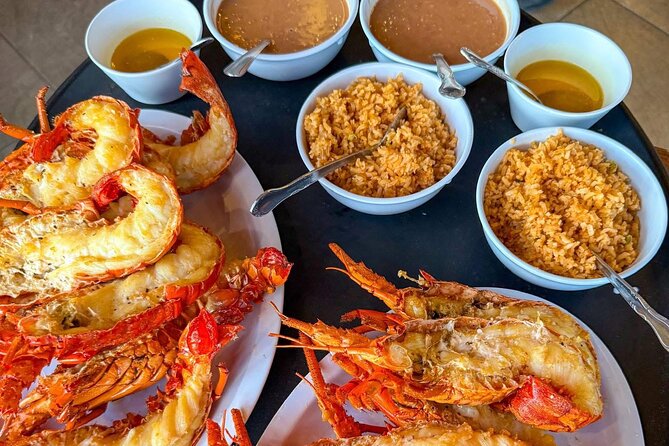 Paragliding Rosarito & Puerto Nuevo Lobster - Tequila tasting is included, but lunch is not