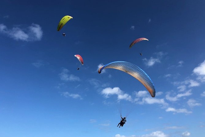 Private Tandem Paragliding Flight in Bizkaia - What the 20-minute flight actually feels like