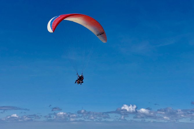 Private Tandem Paragliding Flight in Bizkaia - Who will enjoy this most