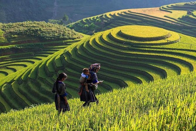 Tandem Paragliding Experience in Hanoi - Weather is part of the decision