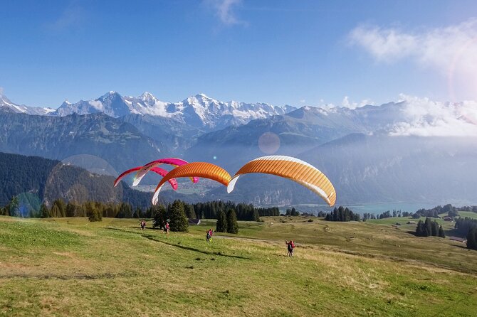 Tandem Paragliding Experience with Transport from Interlaken - Price, photos, and what you actually receive