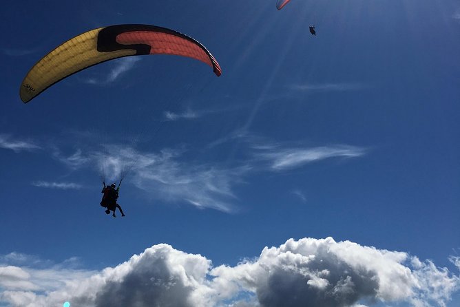 Tandem Paragliding over the Rugged Lava Fields at Blue Mountains - Taking the controls, or asking for turns