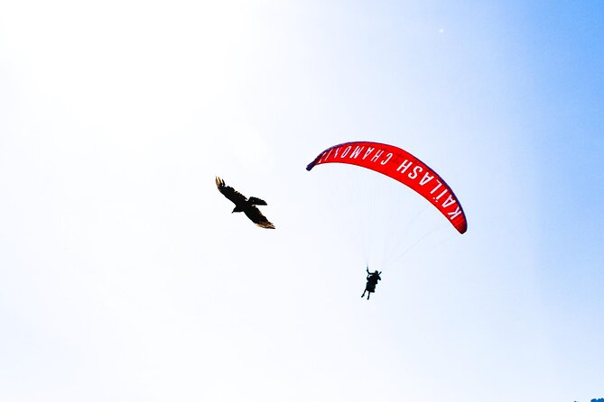 Two-seater paragliding flight in Chamonix - Photos, video, and the extra costs