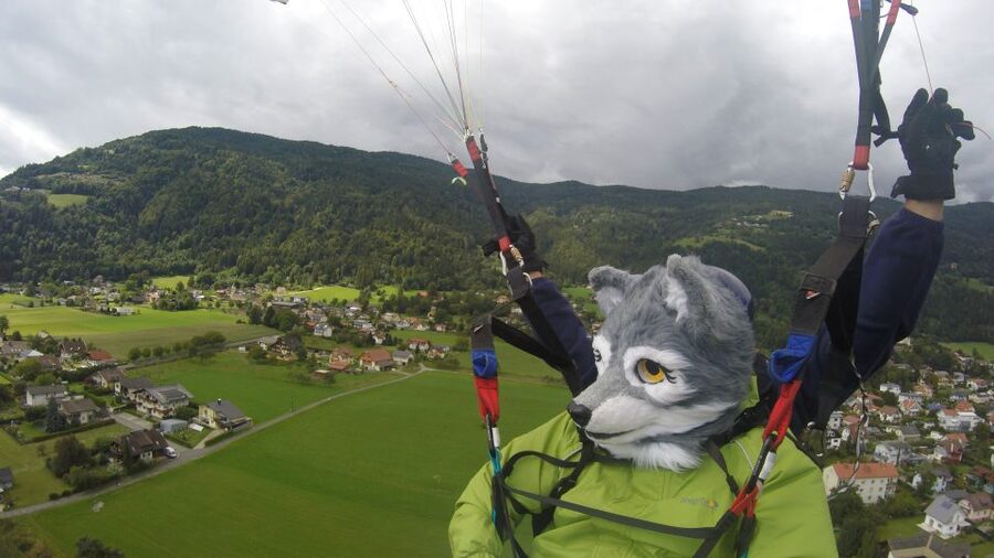 Villach/Ossiachersee: Paragliding "Panorama" Tandemflug - Landing on a large field